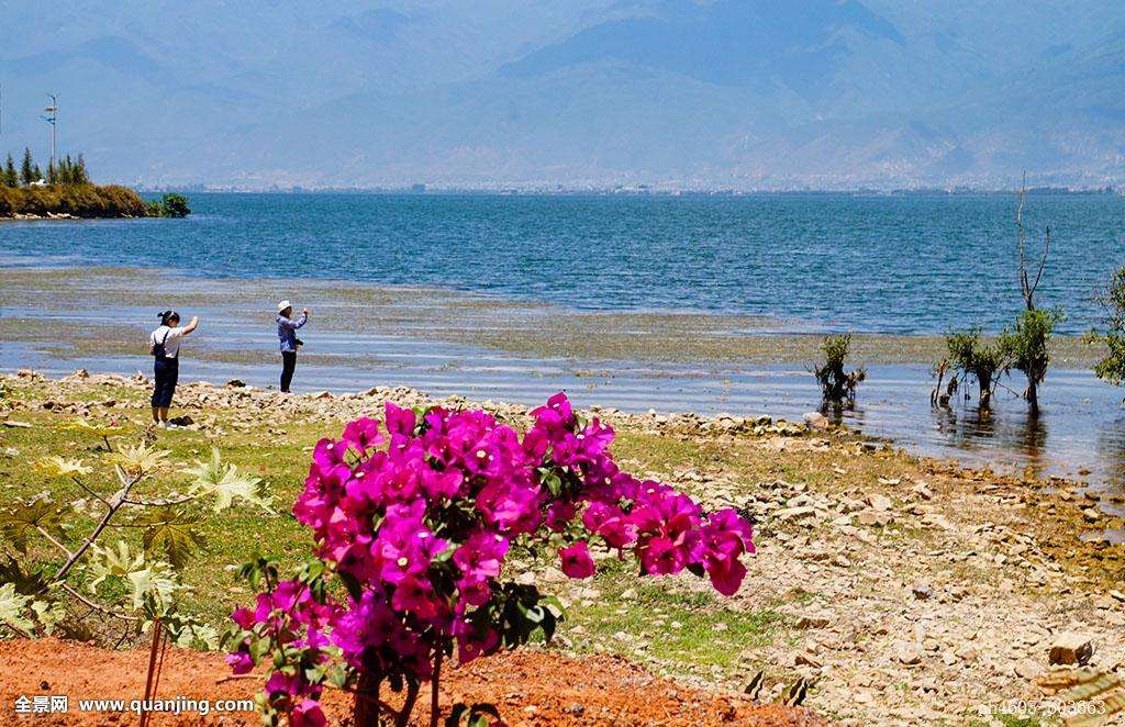 ��������ע������