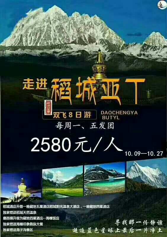 ������T˫��8����